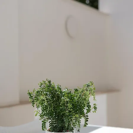 Mare Tonic Apartman Milazzo